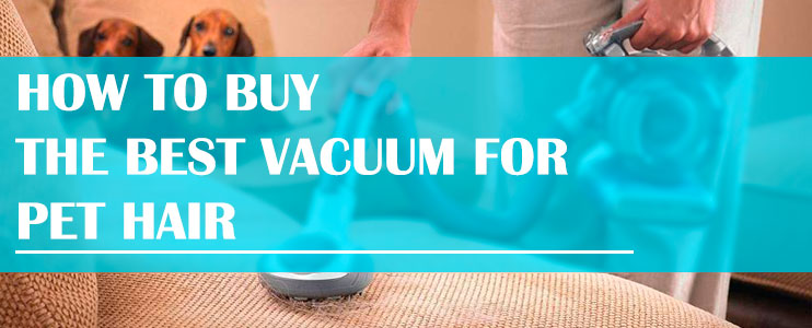 How-to-Buy-the-Best-Vacuum-for-Pet-Hair