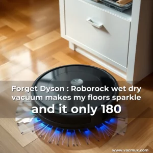 Artistic representation for Forget Dyson : Roborock wet dry vacuum makes my floors sparkle and it only 180
